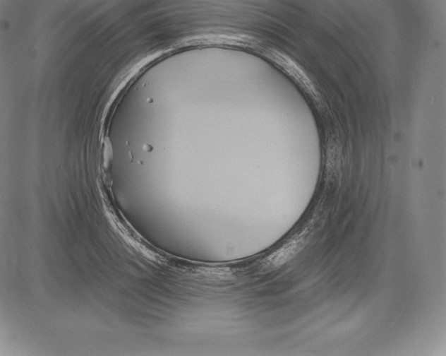 X0000083620844200703051607