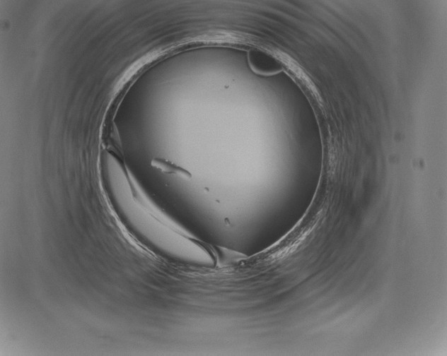 X0000083620845200703051607