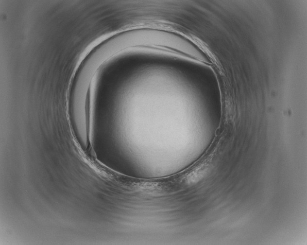 X0000083620846200703051607