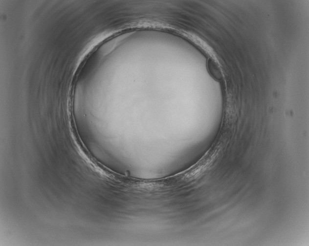 X0000083620847200703051607