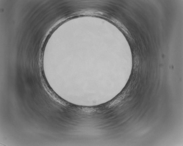 X0000083620848200703051607