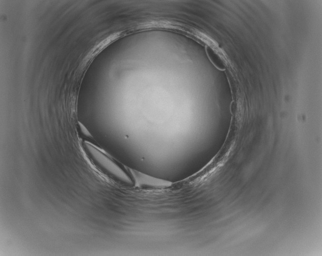 X0000083620849200703051607