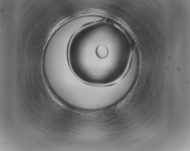 X0000083620850200703051607