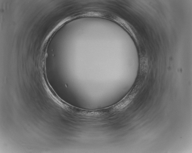 X0000083620851200703051607