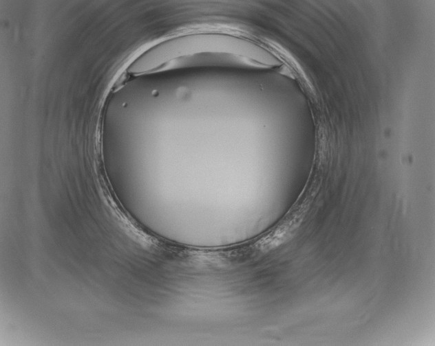 X0000083620852200703051607