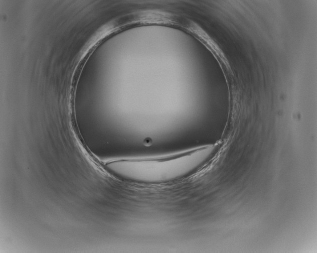 X0000083620853200703051607