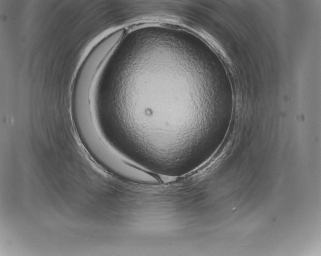 X0000083620854200703051607