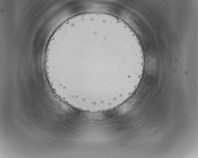 X0000083620856200703051607