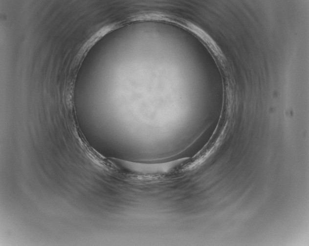 X0000083620857200703051607