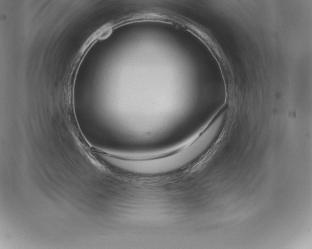 X0000083620858200703051607