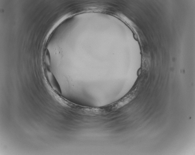 X0000083620859200703051607