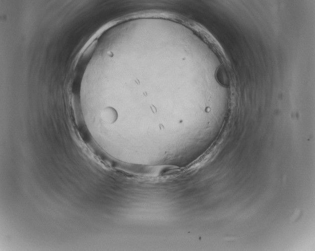 X0000083620860200703051607