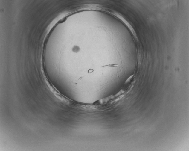 X0000083620861200703051607