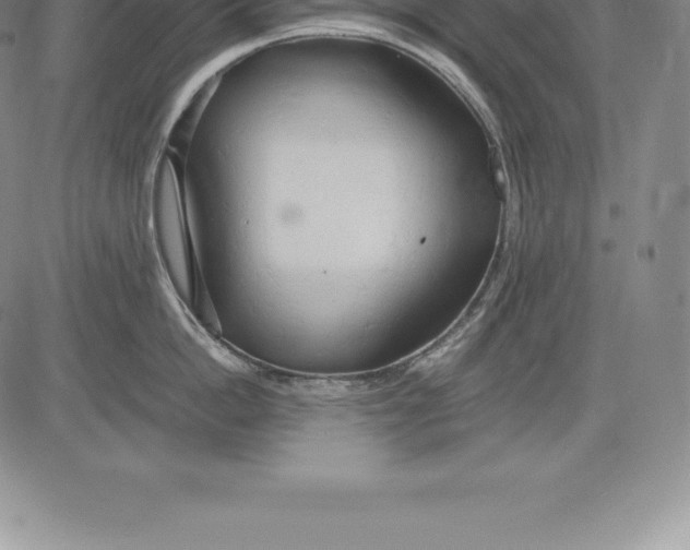 X0000083620862200703051607