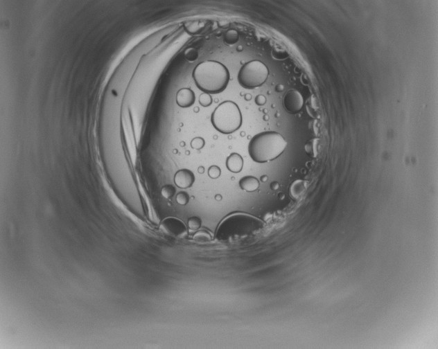 X0000083620863200703051607