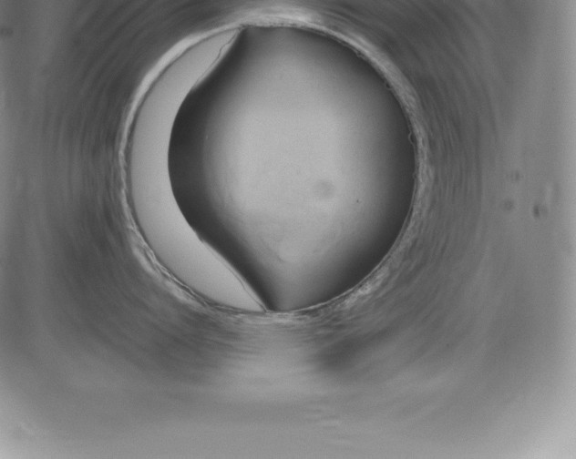 X0000083620864200703051607