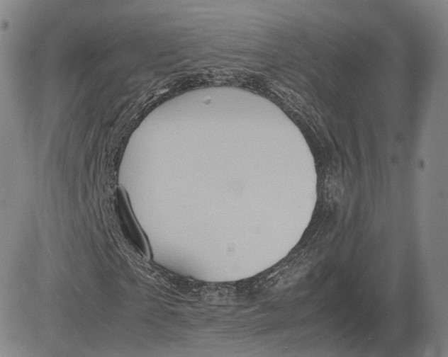 X0000083620865200703051607