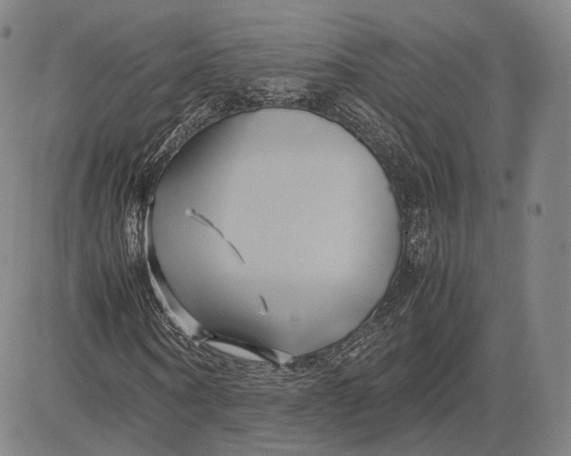 X0000083620866200703051607