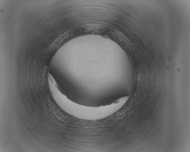 X0000083620868200703051607