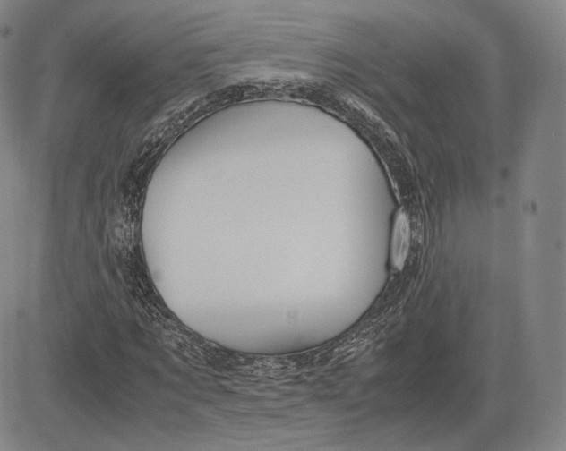 X0000083620869200703051607