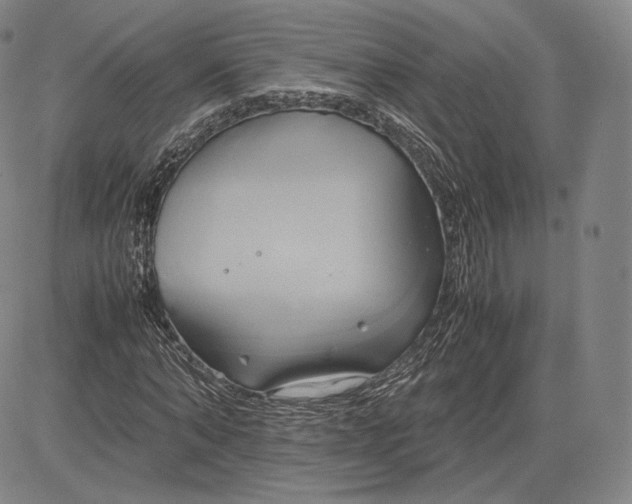 X0000083620870200703051607