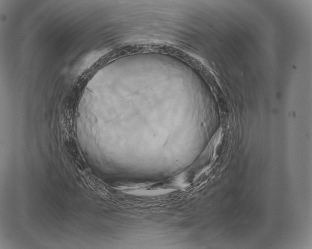 X0000083620871200703051607