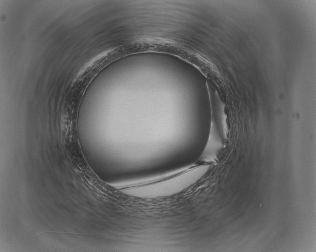 X0000083620872200703051607