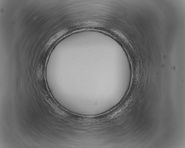 X0000083620873200703051607