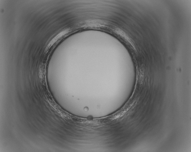 X0000083620874200703051607