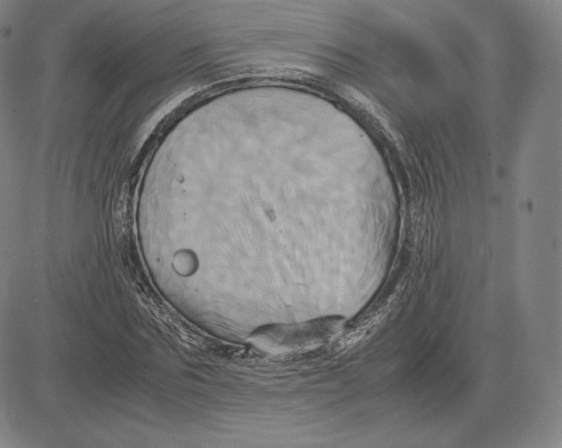 X0000083620875200703051607