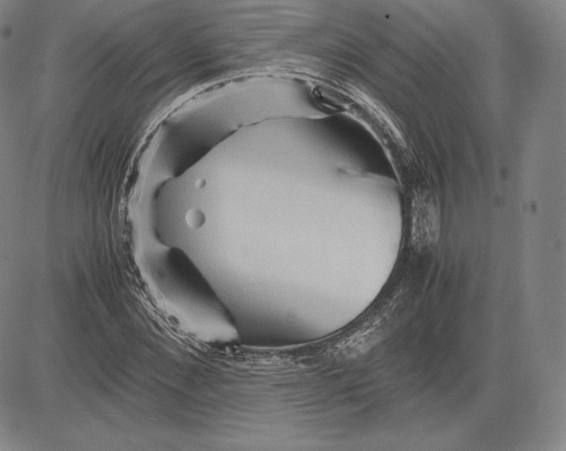 X0000083620876200703051606