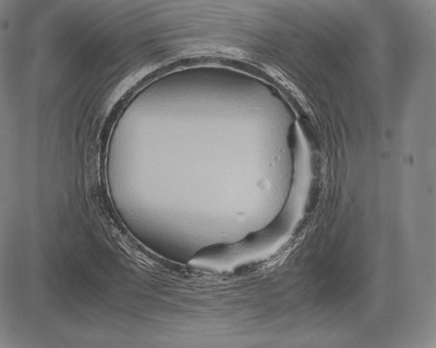 X0000083620877200703051606