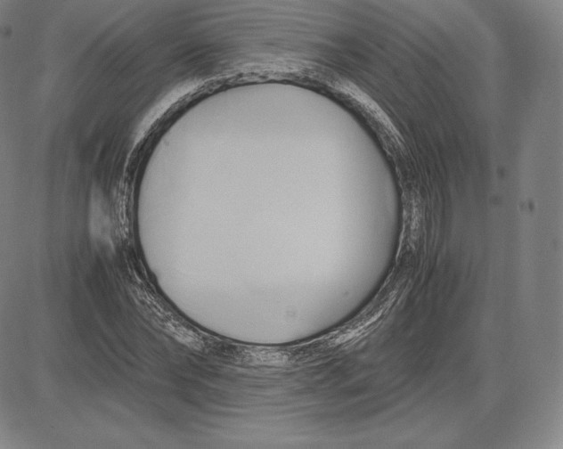 X0000083620878200703051606