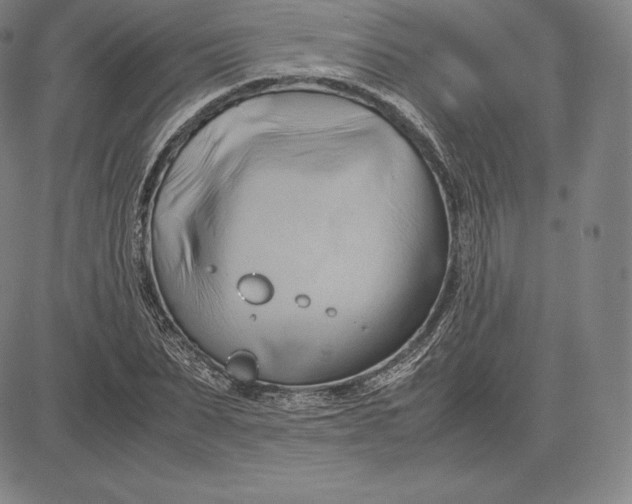 X0000083620879200703051606