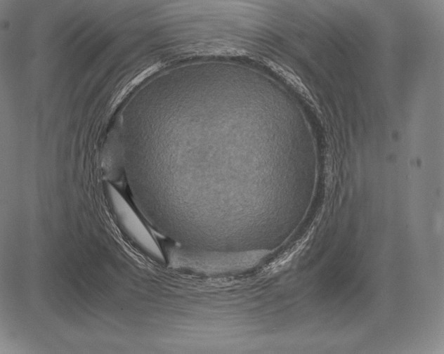 X0000083620881200703051606