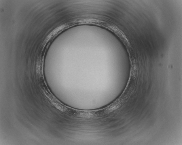 X0000083620882200703051606