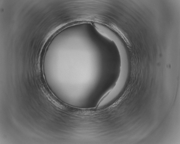 X0000083620884200703051606