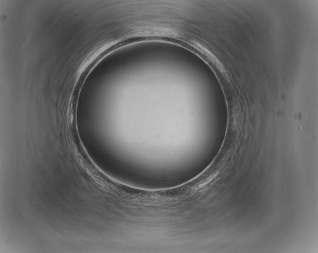 X0000083620885200703051606