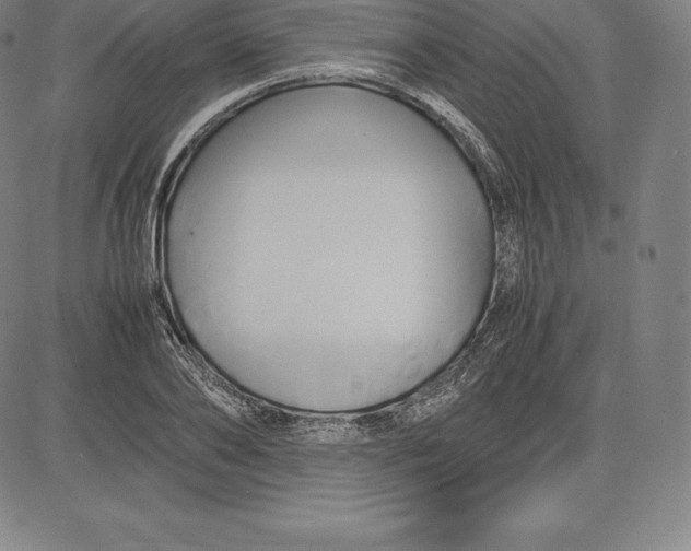 X0000083620886200703051606