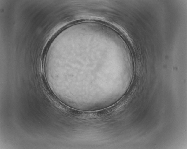 X0000083620887200703051606