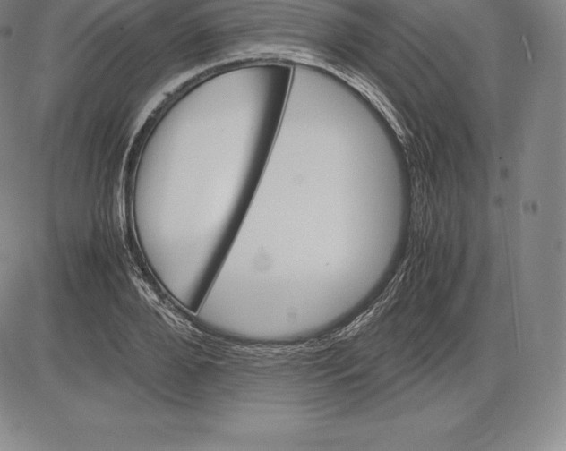 X0000083620888200703051606