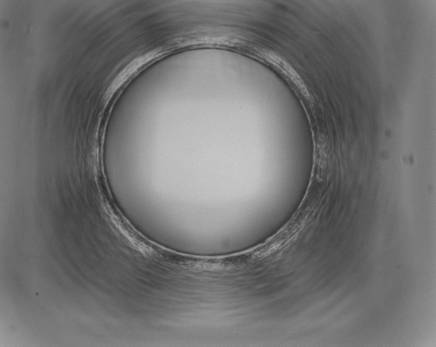 X0000083620890200703051606