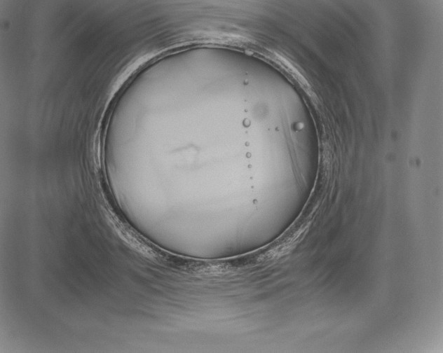 X0000083620891200703051606