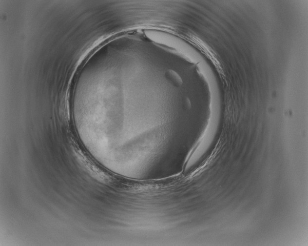 X0000083620892200703051606