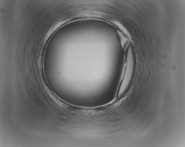 X0000083620893200703051606