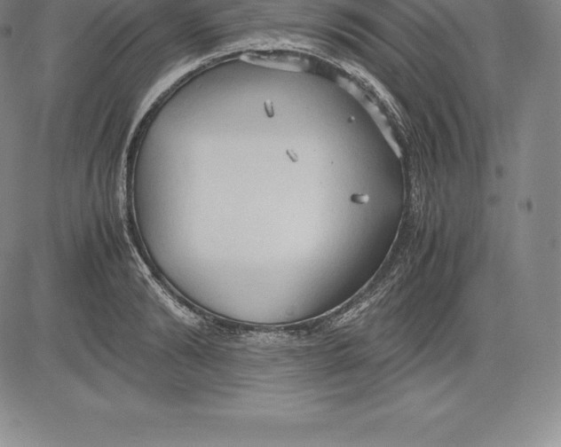 X0000083620894200703051606