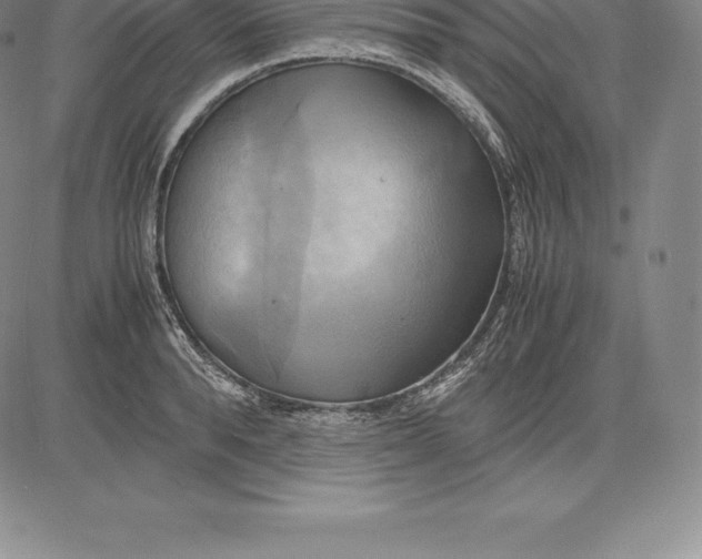 X0000083620896200703051606