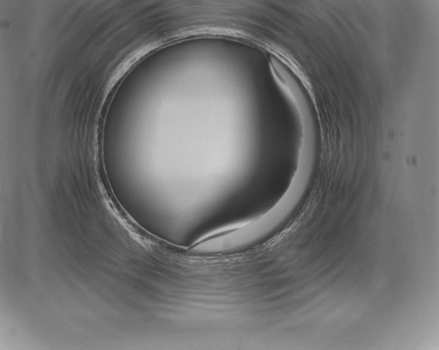 X0000083620898200703051606