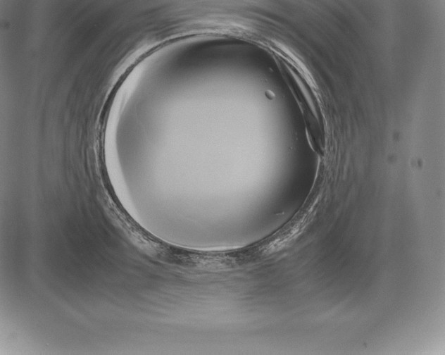 X0000083620899200703051606