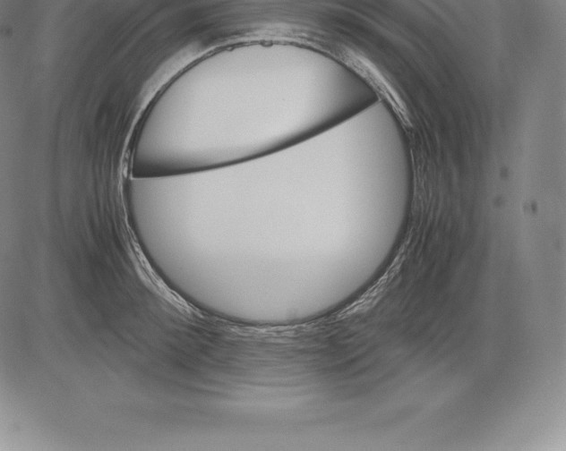 X0000083620900200703051606